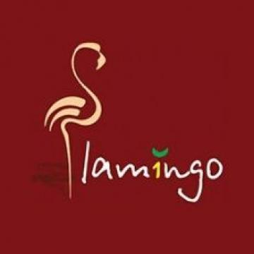 FLAMINGO TUR